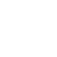 Dr Bee-01neww